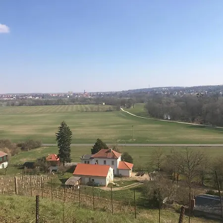 Silvaner *